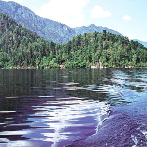 tur_23-12-300x300.jpg tur_23-12-300x300.jpg