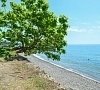 Гостиница «У моря» Новый Афон, Абхазия #47