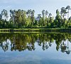Васильевский Татарстан цены