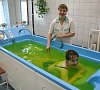 Курорт «Ангара» Иркутск #15
