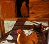 Санаторий «Солнечный» #42