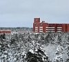 Санаторий Белые ночи Сестрорецк фото Санаторий Белые ночи Сестрорецк фото