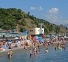 Чайка Алушта