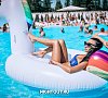 Парк-отель «АЯ» Горный Алтай #27