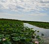 База отдыха Золотой лотос #17