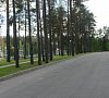 Санаторий Сосны Гомельская область фото