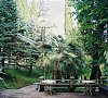 Отель Чегем Гагра фото Отель Чегем Гагра фото