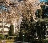 Пансионат «Нева» Алушта, Крым #18