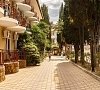 Отель «Кипарис» Адлер #54