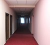 Отрадное Светлогорск