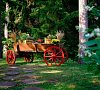 Санаторий Сестрорецкий курорт Ленинградская область фото