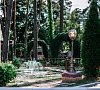 Ченки Гомельская область