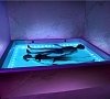 Флоатинг, отдых все включено №5
