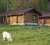 База отдыха «Усадьба «Сокол» Горный Алтай