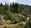 Санаторий Белые ночи Сочи - официальный сайт