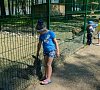 База отдыха «Турсиб» Горный Алтай #17 База отдыха «Турсиб» Горный Алтай #17