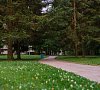 Санаторий «Северная Ривьера» Зеленогорск #18