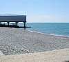 Джина Адлер цены