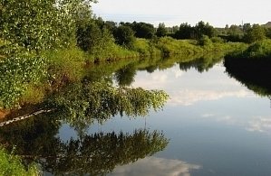 Фотографии объекта
							Санаторий «Ясные зори» Ярославская область