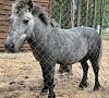 Санаторий «Ружанский» #23