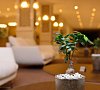 Отель «Grand Gloria Hotel» Батуми, Грузия #35