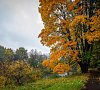 Отель «Планерное» район Химки #16