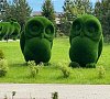 Отель «Руза Фэмили Парк»  Московская область #17