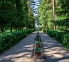 Сестрорецкий курорт Ленинградская область цены