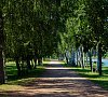 Сосновый бор Минская область