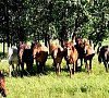 Санаторий «Юматово» Башкирия #16