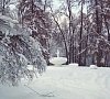 Отель «Фореста Фестиваль Парк» Чеховский район #24