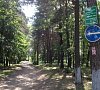 Орша Витебская область