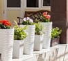 Stella Maris Hotel Сочи цены