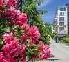 Вилла «Валентина» Алушта, Крым #13