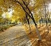 Ижминводы Татарстан цены