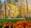 Санаторий им. Володарского Пензенская область фото