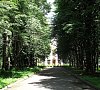 Санаторий Литвиново Киевское шоссе - официальный сайт