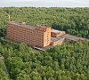 Березовая роща Пензенская область