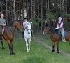 Санаторий «Волжский Утес» Самарская область #42