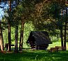 Сосновый бор Минская область цены