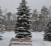Санаторий «Журавушка» #19