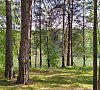 Санаторий Рассвет Новосибирская область фото