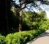 Отель «Orchestra OKA Spa Resort» Подмосковье #17