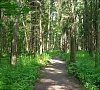 Бэс Чагда Рублево-Успенское шоссе