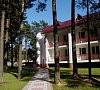 Санаторий Сосны Минская область