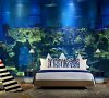 «PARAGRAPH RESORT & SPA» Шекветили, Грузия #21