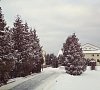 Отель «Фореста Фестиваль Парк» Чеховский район #16