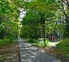 Лесная Новь Кировская область цены