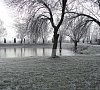 Санаторий Ясельда Брестская область фото