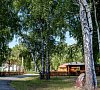 Ласточка Тюменская область - официальный сайт